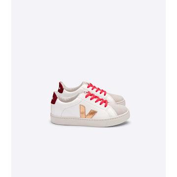 Kids' Veja ESPLAR LEATHER Sneakers Gold/Red/White | SG 810OKI